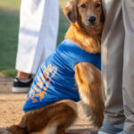 Omaha the Bat Dog OC Riptide National Anthem