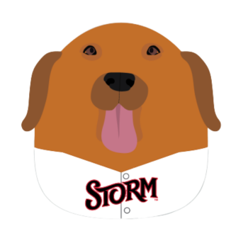 Omaha the Bat Dog Squishy Pillow